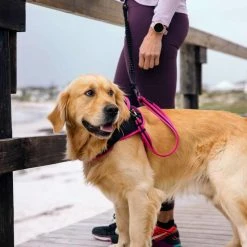 Rogz Hondentuig Airtech Sport Roze -Hond winkel image 4288