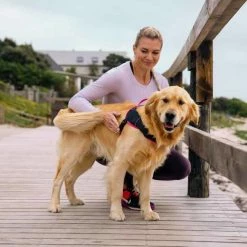 Rogz Hondentuig Airtech Sport Roze -Hond winkel image 4290