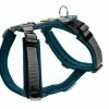 Hunter Hondentuig Maldon Teal -Hond winkel image 4295