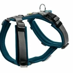 Hunter Hondentuig Maldon Teal