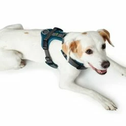 Hunter Hondentuig Maldon Teal 7 Hunter Hondentuig Maldon Teal -Hond winkel image 4297