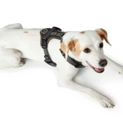 Hunter Hondentuig Maldon Zwart -Hond winkel image 4311