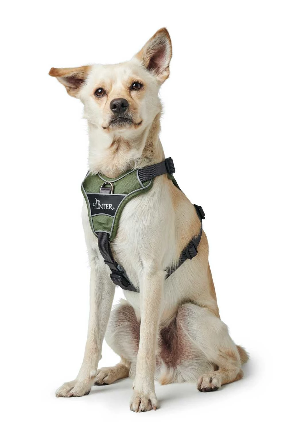Hunter Hondentuig Divo Groen 4 Hunter Hondentuig Divo Groen - Afbeelding 2
