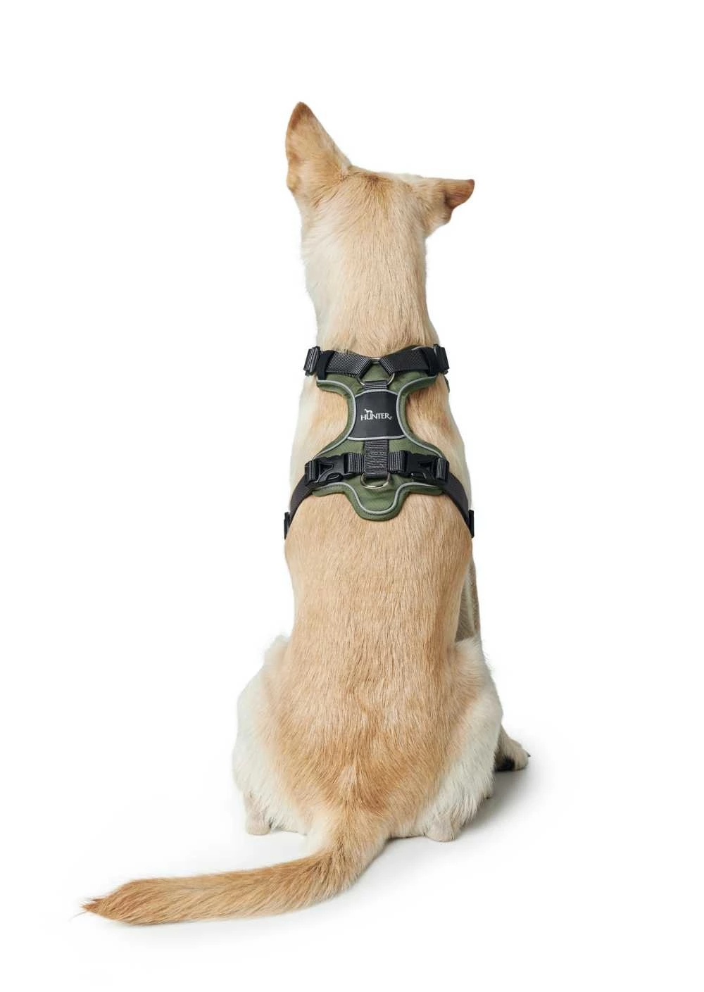 Hunter Hondentuig Divo Groen 5 Hunter Hondentuig Divo Groen - Afbeelding 3