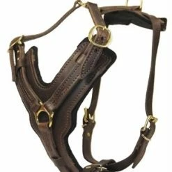 Dean And Tyler Hondentuig The Victory