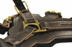 Dean And Tyler Hondentuig The Victory -Hond winkel image 4332