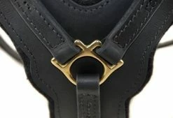 Dean And Tyler Hondentuig The Victory -Hond winkel image 4336