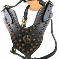 Dean And Tyler Hondentuig The Viking