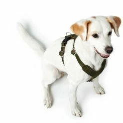 Hunter Hondentuig Aalborg Olive -Hond winkel image 4352