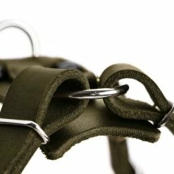 Hunter Hondentuig Aalborg Olive -Hond winkel image 4354