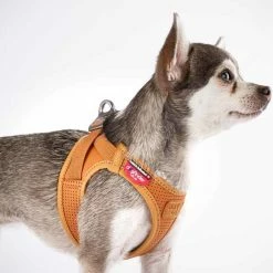 Curli Hondentuig Clasp Vest Apple Leather Bruin 13 Curli Hondentuig Clasp Vest Apple Leather Bruin -Hond winkel image 4367