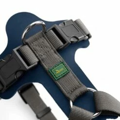 Hunter Hondentuig Aalborg Mixed Blauw -Hond winkel image 4379