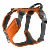 DOG Copenhagen Hondentuig Comfort Walk Pro Orange Sun 2 DOG Copenhagen Hondentuig Comfort Walk Pro Orange Sun -Hond winkel image 4380