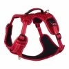 Rogz Hondentuig Explore Harness Rood -Hond winkel image 4387