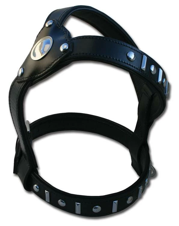 Doxtasy Hondentuig Knight Black & Silver 3 Doxtasy Hondentuig Knight Black & Silver