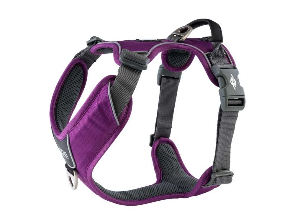 DOG Copenhagen Hondentuig Comfort Walk Pro Purple Passion 3 DOG Copenhagen Hondentuig Comfort Walk Pro Purple Passion