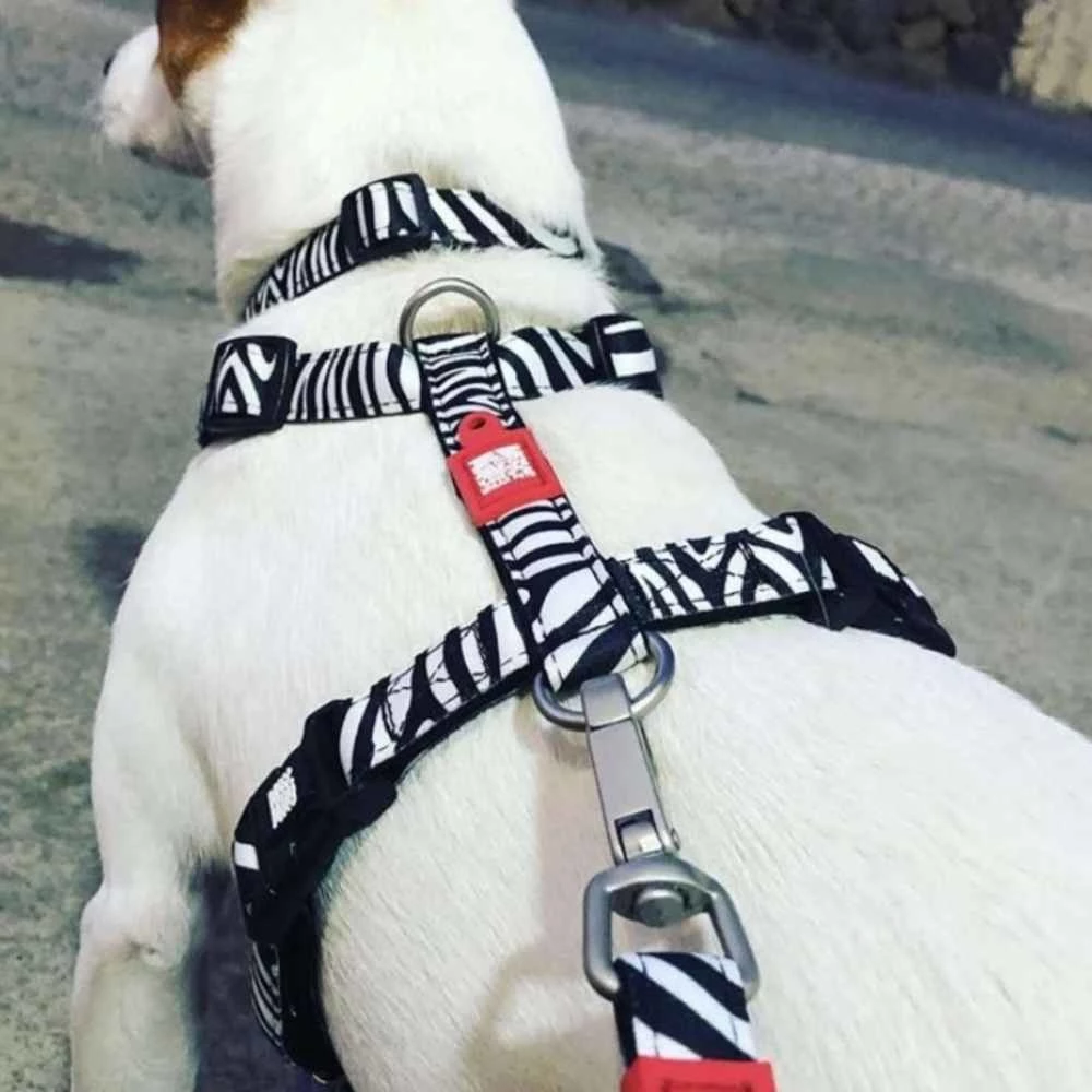 Max&Molly Max & Molly Hondentuig Zebra 4 Max&Molly Max & Molly Hondentuig Zebra - Afbeelding 2