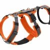 Hunter Veiligheidsharnas Maldon Oranje -Hond winkel image 4415
