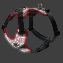 Hunter Hondentuig Divo Reflect Rood 12 Hunter Hondentuig Divo Reflect Rood -Hond winkel image 4449