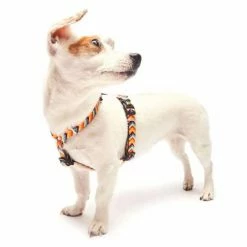 Max&Molly Max & Molly Hondentuig Summertime -Hond winkel image 4452