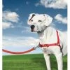 Petsafe Anti-Trek Hondentuig Easy Walk ® Rood 2 Petsafe Anti-Trek Hondentuig Easy Walk ® Rood -Hond winkel image 4471