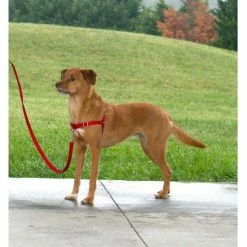 Petsafe Anti-Trek Hondentuig Easy Walk ® Rood -Hond winkel image 4476