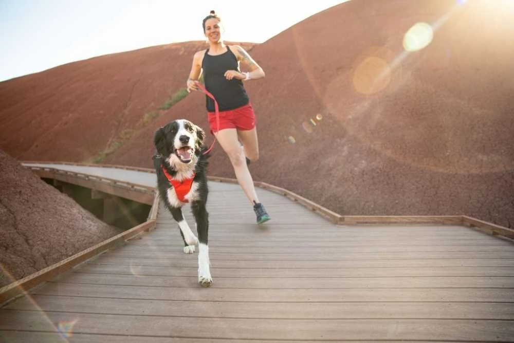 Ruffwear Hondentuig Front Range Red Sumac 4 Ruffwear Hondentuig Front Range Red Sumac - Afbeelding 2