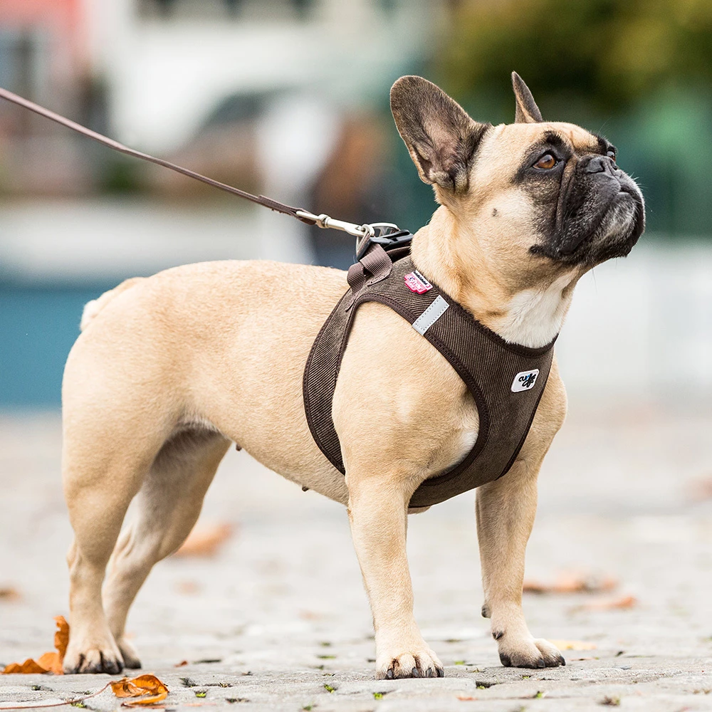 Curli Hondentuig Vest Cord Bruin 4 Curli Hondentuig Vest Cord Bruin - Afbeelding 2