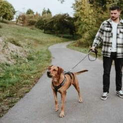 Hunter Veiligheidsharnas Maldon Zwart 14 Hunter Veiligheidsharnas Maldon Zwart -Hond winkel image 4522