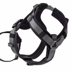 Hunter Veiligheidsharnas Maldon Zwart 15 Hunter Veiligheidsharnas Maldon Zwart -Hond winkel image 4523