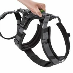 Hunter Veiligheidsharnas Maldon Zwart 16 Hunter Veiligheidsharnas Maldon Zwart -Hond winkel image 4524