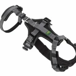 Hunter Veiligheidsharnas Maldon Zwart 17 Hunter Veiligheidsharnas Maldon Zwart -Hond winkel image 4525