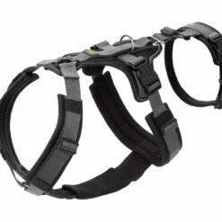 Hunter Veiligheidsharnas Maldon Zwart 19 Hunter Veiligheidsharnas Maldon Zwart -Hond winkel image 4527