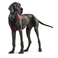 Hunter Hondentuig Neopreen Rood 7 Hunter Hondentuig Neopreen Rood -Hond winkel image 4530