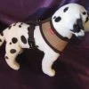 Puppia Hondentuig Soft Harness Beige -Hond winkel image 4531