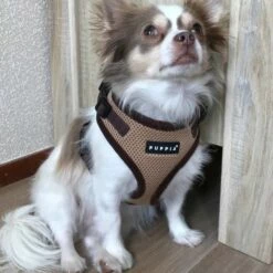 Puppia Hondentuig Soft Harness Beige -Hond winkel image 4533