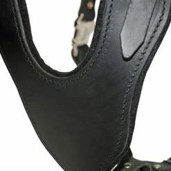 Dean And Tyler Hondentuig Basic -Hond winkel image 4538