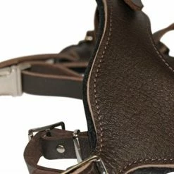 Dean And Tyler Hondentuig Basic -Hond winkel image 4544