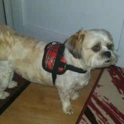 Doxtasy Hondentuig Survival Harness Tartan Red -Hond winkel image 4549