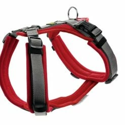 Hunter Hondentuig Maldon Rood