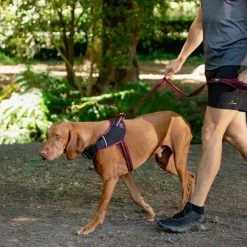 Rogz Hondentuig Airtech Sport Rood 14 Rogz Hondentuig Airtech Sport Rood -Hond winkel image 4568