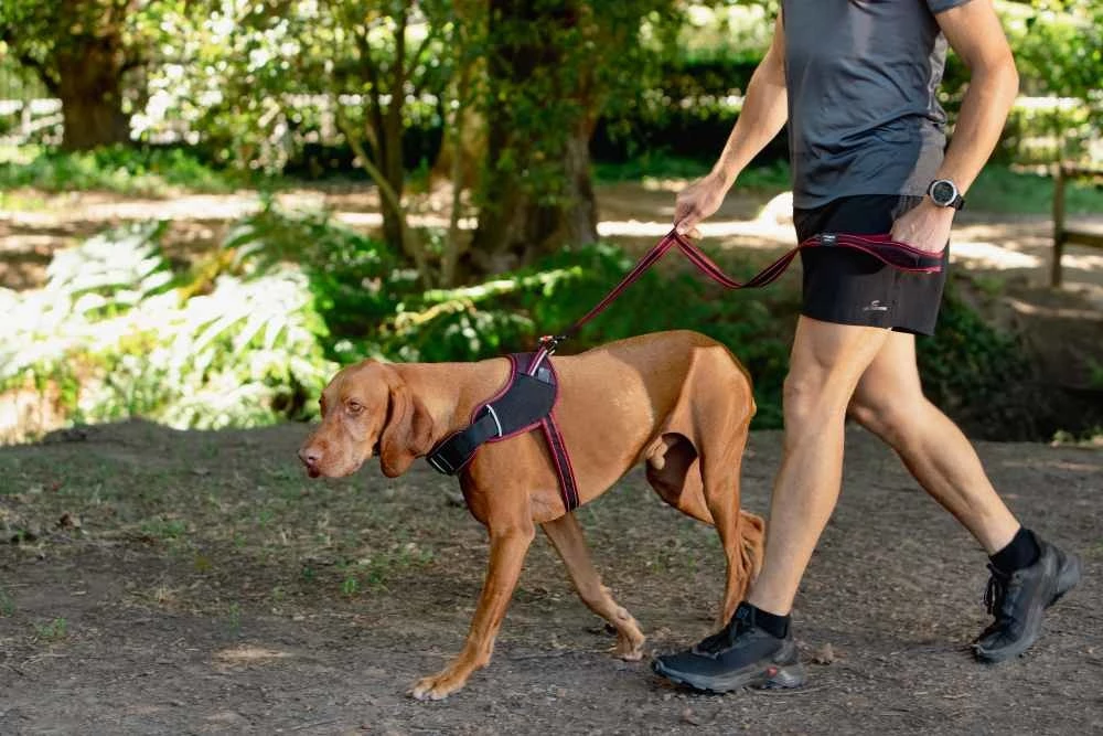 Rogz Hondentuig Airtech Sport Rood 5 Rogz Hondentuig Airtech Sport Rood - Afbeelding 3