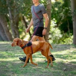 Rogz Hondentuig Airtech Sport Rood 15 Rogz Hondentuig Airtech Sport Rood -Hond winkel image 4569