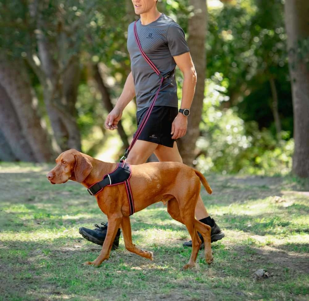 Rogz Hondentuig Airtech Sport Rood 6 Rogz Hondentuig Airtech Sport Rood - Afbeelding 4