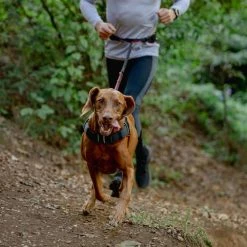 Rogz Hondentuig Airtech Sport Rood 17 Rogz Hondentuig Airtech Sport Rood -Hond winkel image 4571