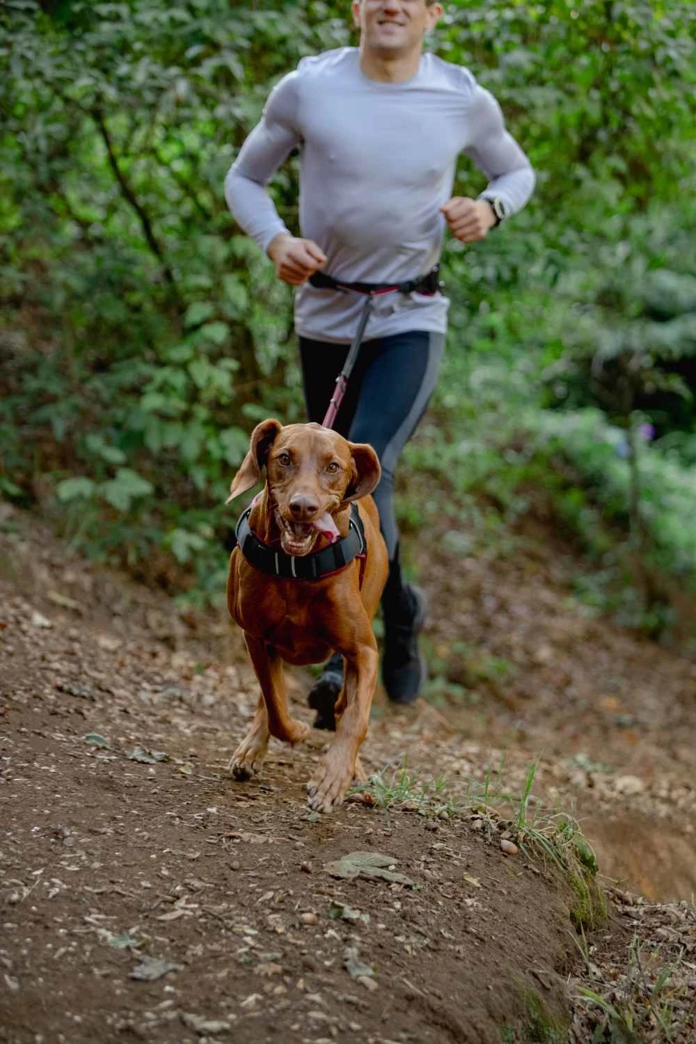 Rogz Hondentuig Airtech Sport Rood 8 Rogz Hondentuig Airtech Sport Rood - Afbeelding 6