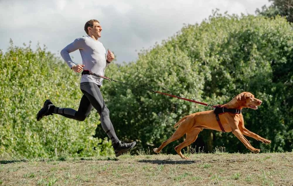 Rogz Hondentuig Airtech Sport Rood 9 Rogz Hondentuig Airtech Sport Rood - Afbeelding 7