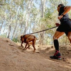 Rogz Hondentuig Airtech Sport Rood 19 Rogz Hondentuig Airtech Sport Rood -Hond winkel image 4573