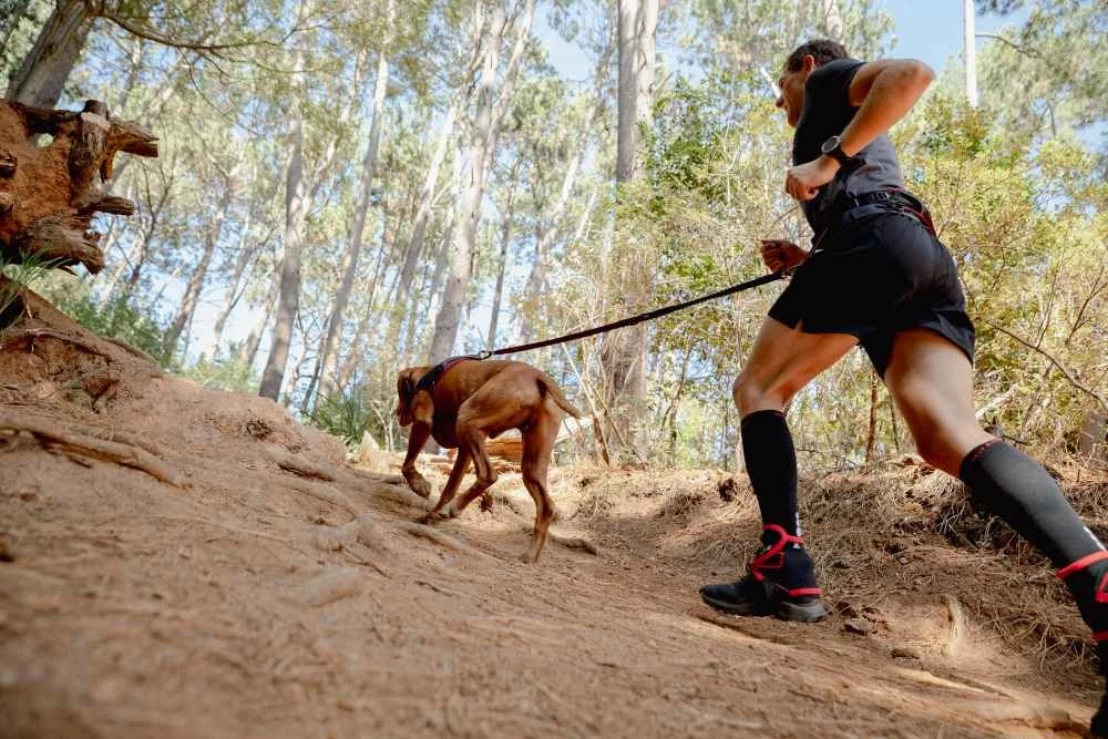 Rogz Hondentuig Airtech Sport Rood 10 Rogz Hondentuig Airtech Sport Rood - Afbeelding 8