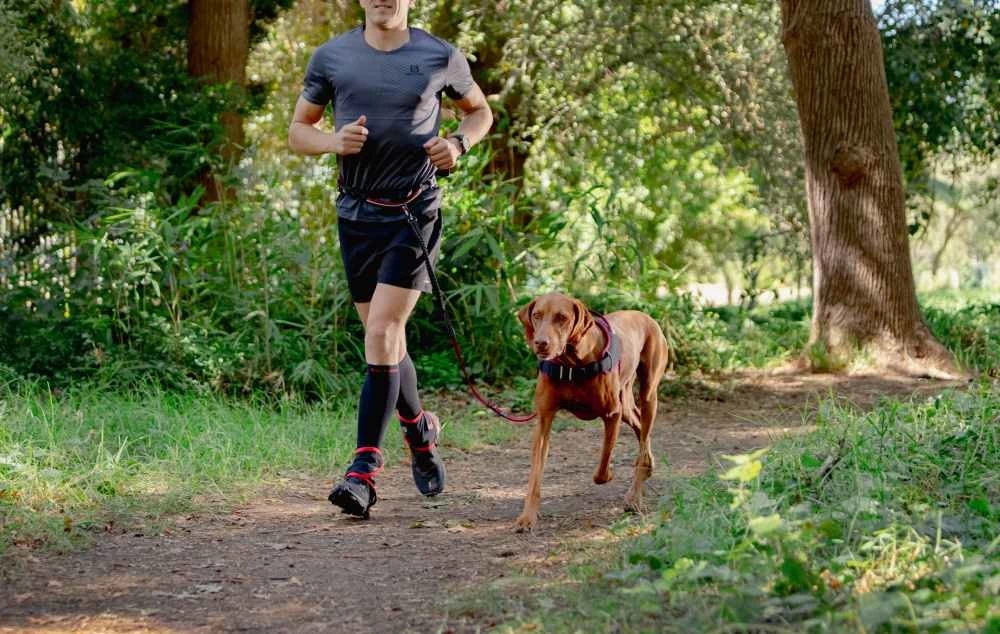 Rogz Hondentuig Airtech Sport Rood 11 Rogz Hondentuig Airtech Sport Rood - Afbeelding 9